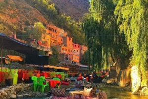 Dagsutflykt till Ourikadalen med lokal guide