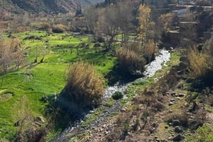 Dagsutflykt till Ourikadalen med lokal guide