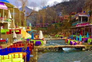 Dagsutflykt till Ourikadalen med lokal guide