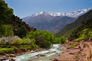 Dagsutflykt till Ourikadalen med lokal guide