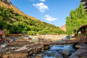 Ourika Valley Full-Day Group Tour from Marrakech