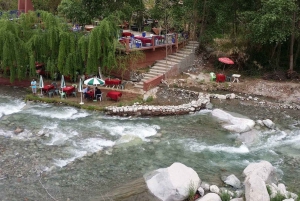 Ourika Valley Full-Day Group Tour from Marrakech