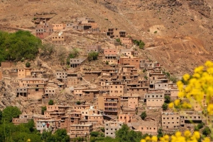 Tagestour zum Wandern und zu den Wasserfällen im Ourika-Tal von Marrakech aus