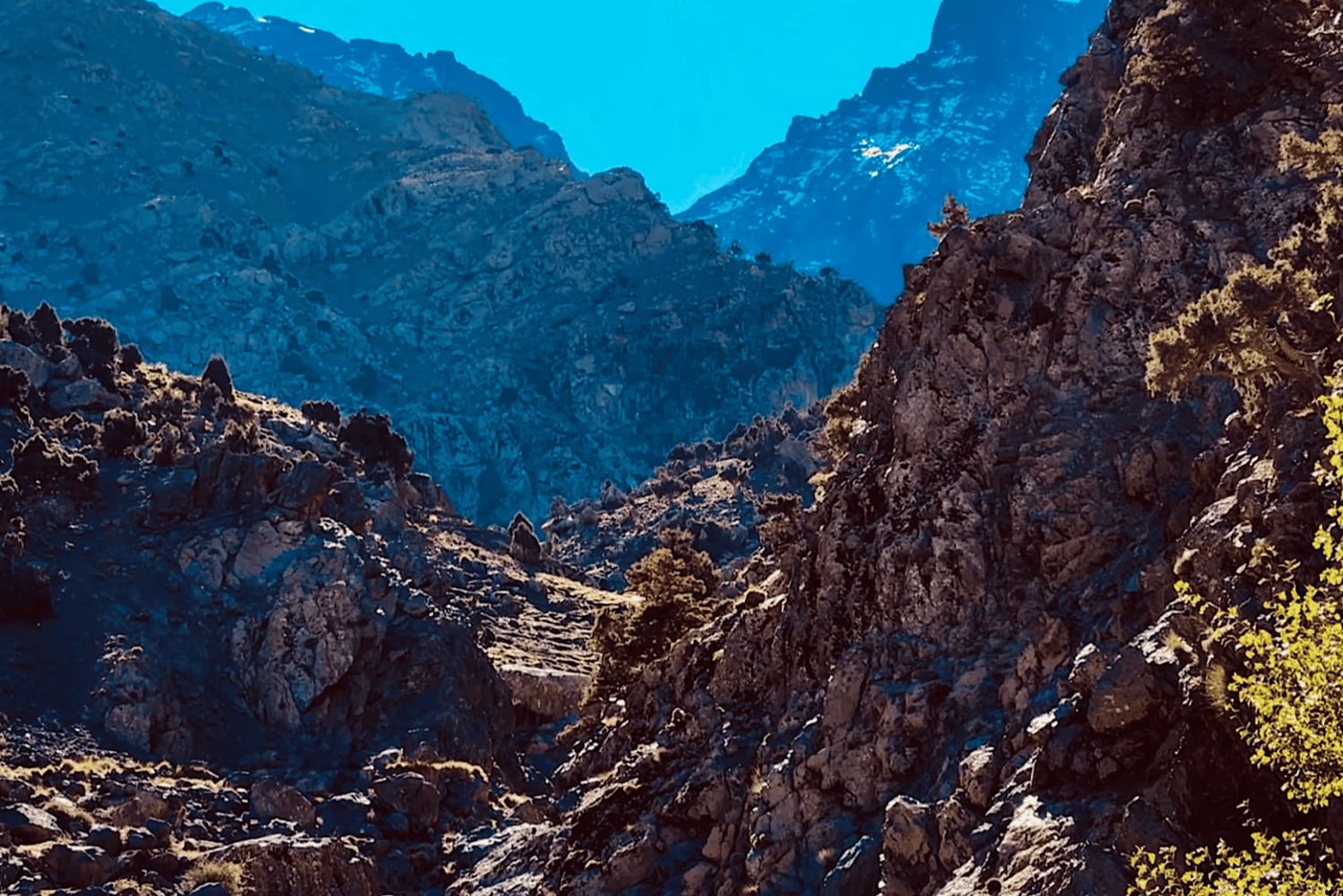 Vale de Ourika: Aventura de quadriciclo, passeio de camelo e caminhada