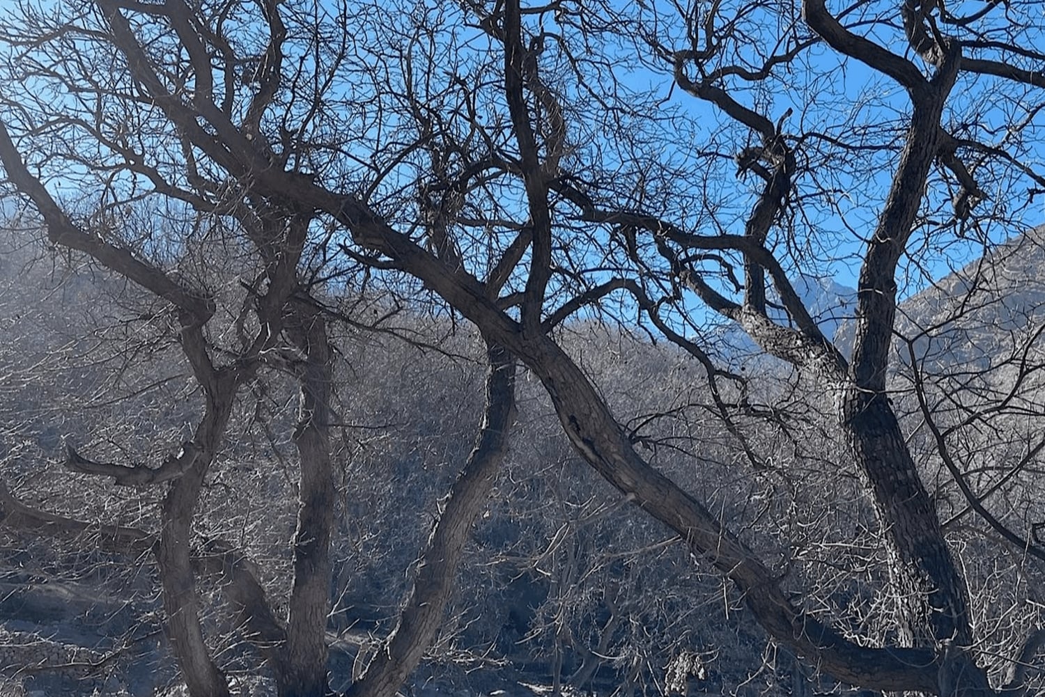 Vale de Ourika: Aventura de quadriciclo, passeio de camelo e caminhada