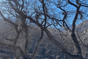 Vale de Ourika: Aventura de quadriciclo, passeio de camelo e caminhada
