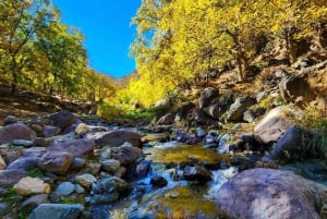 Vale de Ourika: Aventura de quadriciclo, passeio de camelo e caminhada
