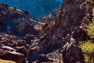 Vale de Ourika: Aventura de quadriciclo, passeio de camelo e caminhada