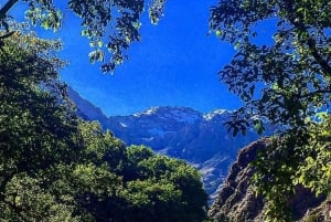 Vale de Ourika: Aventura de quadriciclo, passeio de camelo e caminhada