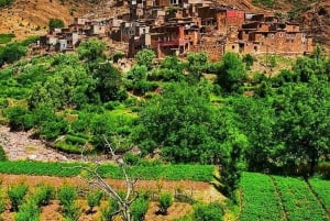 Vale de Ourika: Aventura de quadriciclo, passeio de camelo e caminhada