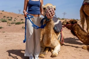 Vale de Ourika: Aventura de quadriciclo, passeio de camelo e caminhada
