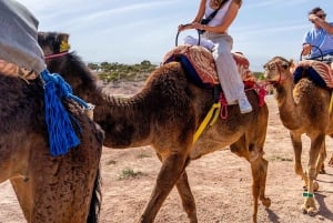 Vale de Ourika: Aventura de quadriciclo, passeio de camelo e caminhada