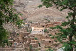 Ourika Valley Shared Full-Day Trip from Marrakech