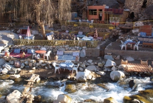Ourika Valley Shared Full-Day Trip from Marrakech
