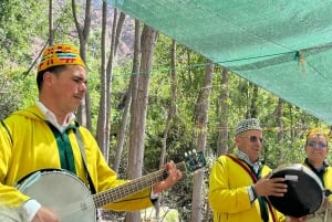 Marrakech: Ourika Valley Waterfall med guidet fottur og lunsj
