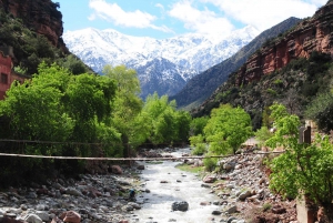 Ourika Valley with Atlas Mountains Day Trip from Marrakech