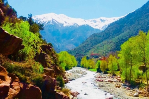 Ourika Valley with Atlas Mountains Day Trip from Marrakech