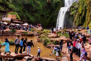 'Ouzoud Waterfall: 1-Day Marrakech Escape'