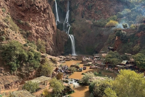 Marrakech to Ouzoud waterfalls day tour - Guide & boat ride