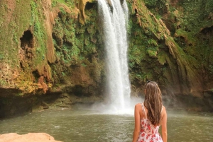 Marrakech to Ouzoud waterfalls day tour - Guide & boat ride