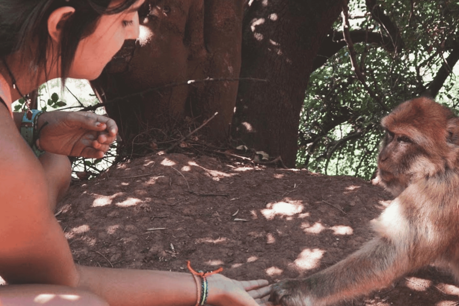 Ouzoud Waterfalls: Day Trip from Marrakech
