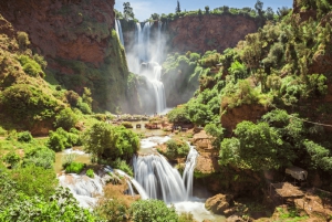 Ouzoud Waterfalls: Day Trip from Marrakech