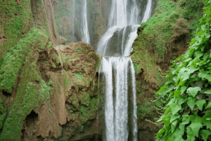 Ouzoud Waterfalls: Day Trip from Marrakech
