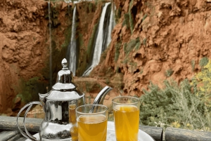Ouzoud Waterfalls: Day Trip from Marrakech