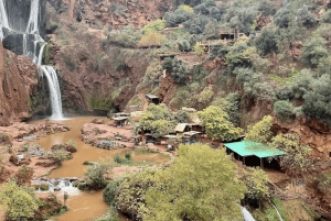 Ouzoud Waterfalls: Day Trip from Marrakech