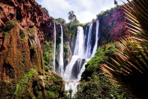 From Marrakech: Ouzoud Waterfalls Guided Hike and Boat Trip