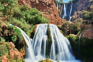 From Marrakech: Ouzoud Waterfalls Guided Hike and Boat Trip