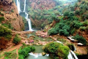 From Marrakech: Ouzoud Waterfalls Guided Hike and Boat Trip