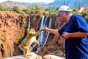 From Marrakech: Ouzoud Waterfalls Guided Hike and Boat Trip