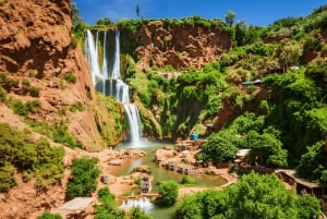 Cascate di Ouzoud: gita di 1 giorno con guida e giro in barca