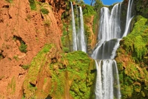 Cascate di Ouzoud: gita di 1 giorno con guida e giro in barca