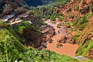 Cascate di Ouzoud: gita di 1 giorno con guida e giro in barca