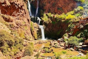 Ouzoud Waterfalls from Marrakech with Boat Ride