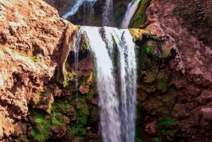 Ouzoud waterfalls Full-Day Trip from Marrakech
