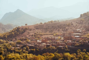 Marrakech: Ourika-floden, vandfaldstur med guide og frokost