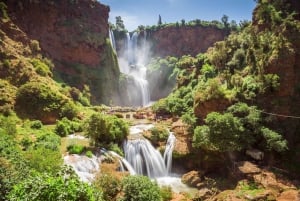 Ouzoud Waterfalls, Monkeys & Berbers Day Trip From Marrakech