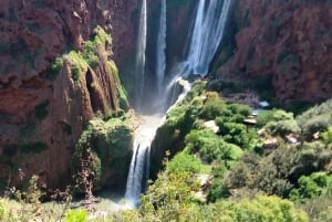 Ouzoud Waterfalls, Monkeys & Berbers Day Trip From Marrakech