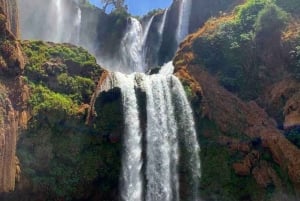 Marrakech: Ouzoud watervallen, begeleide wandeling & optionele boottocht