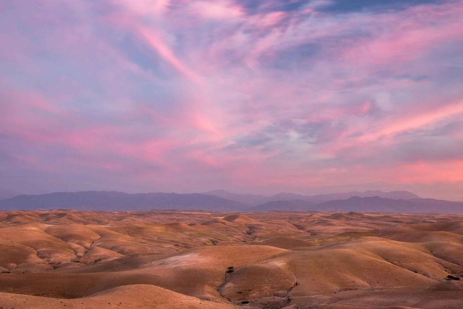 package: Agafay dinner, Sunset, show , Quad or Camel Ride