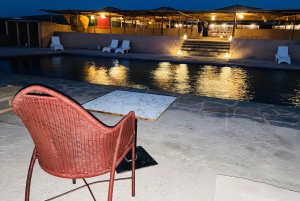 Pakke: Agafay-middag, solnedgang, show, quad- eller kameltur