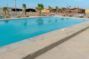 Pakke: Agafay-middag, solnedgang, show, quad- eller kameltur