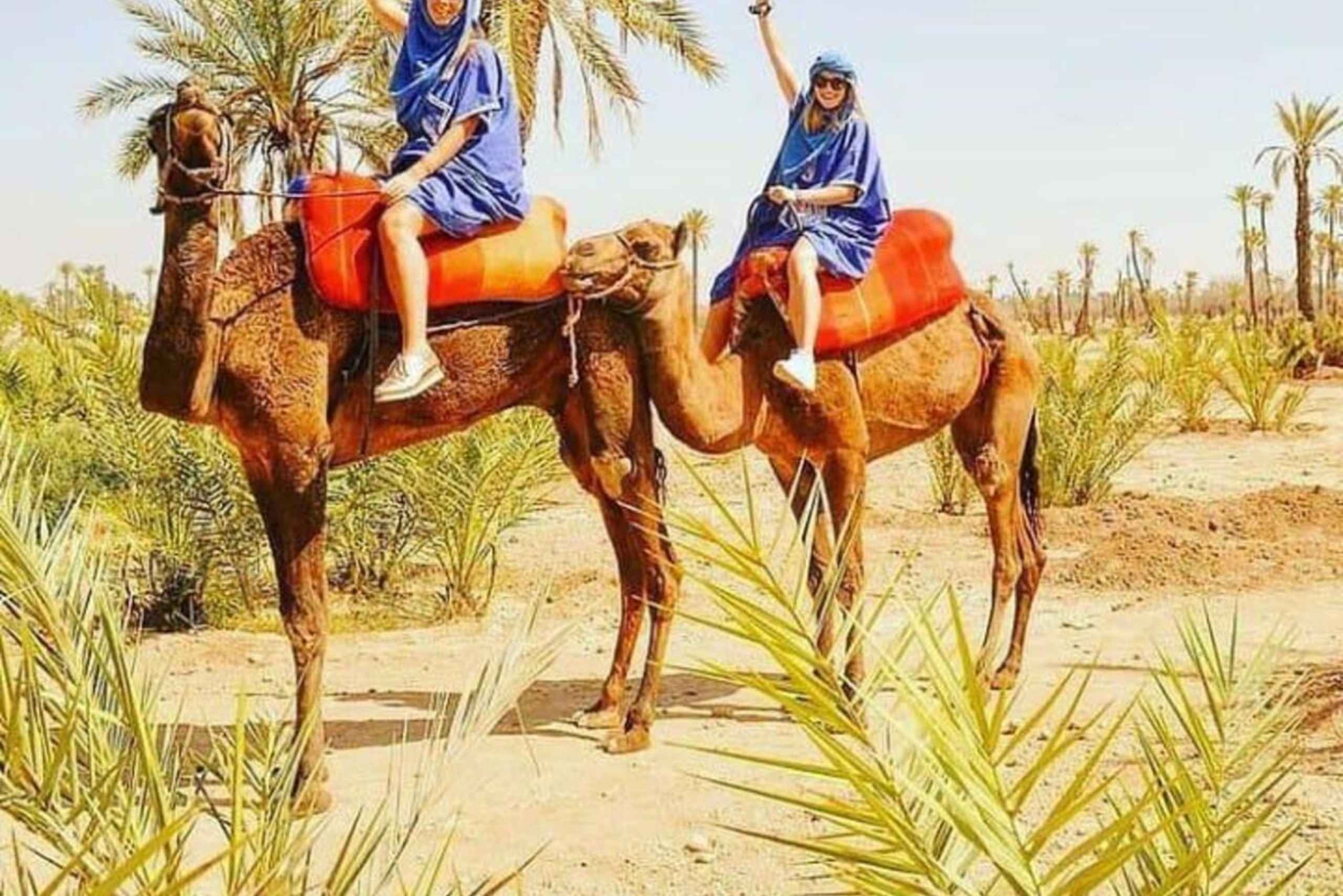 Forfait balade à dos de chameau et quad dans la Palmeraie de Marrakech