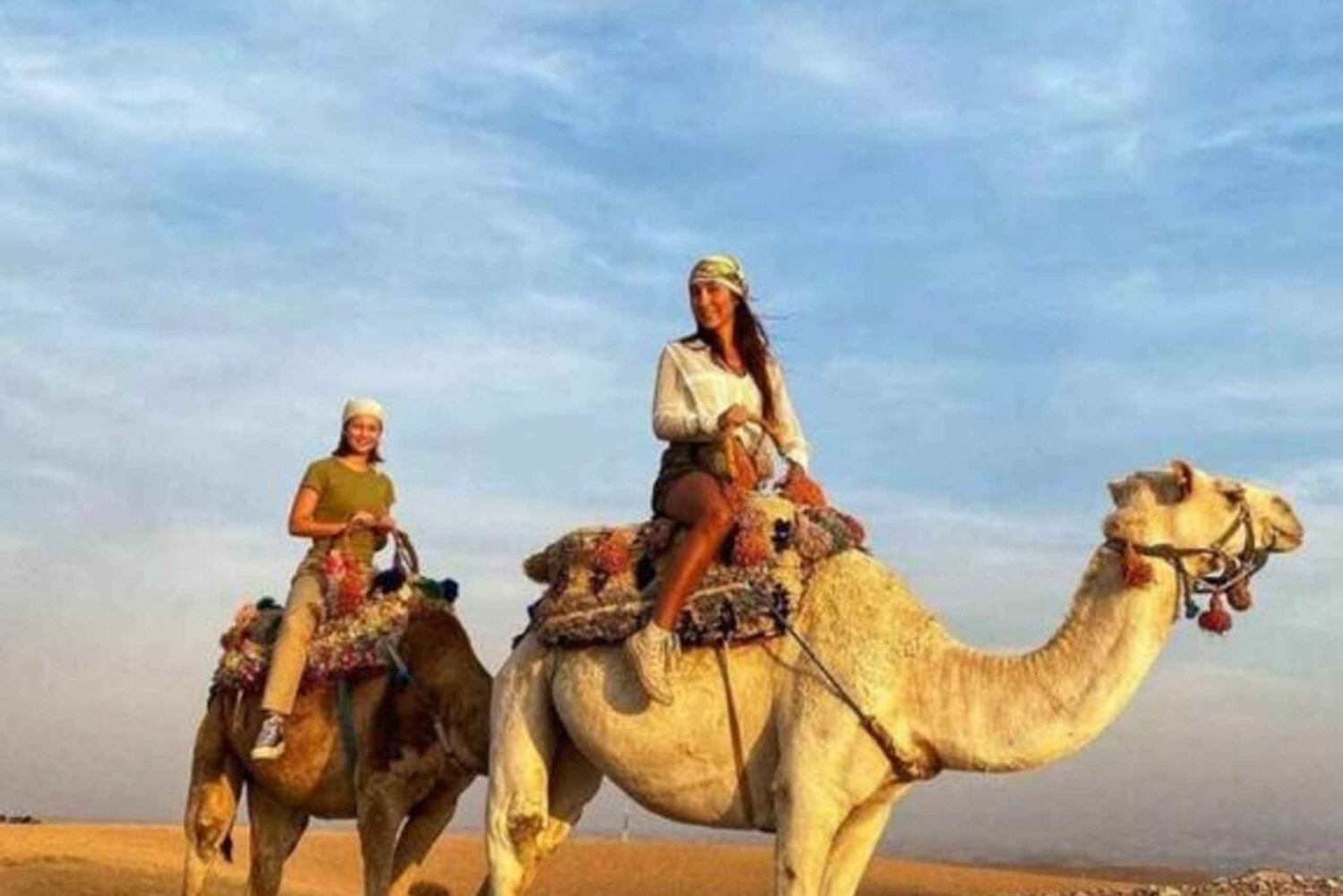 Forfait balade à dos de chameau et quad dans la Palmeraie de Marrakech