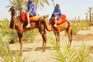 Forfait balade à dos de chameau et quad dans la Palmeraie de Marrakech