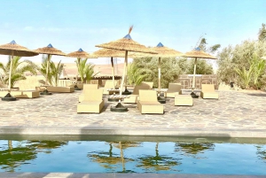 Pool Day Pass and Lunch in Agafay Desert