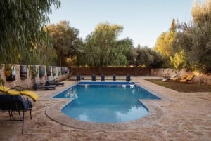 Privat day trip from Marrakesh with Wine tasting